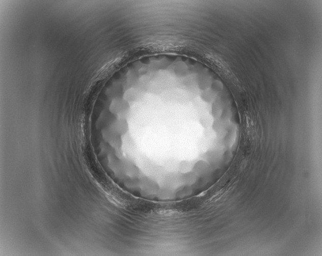 X0000056020590200509092141