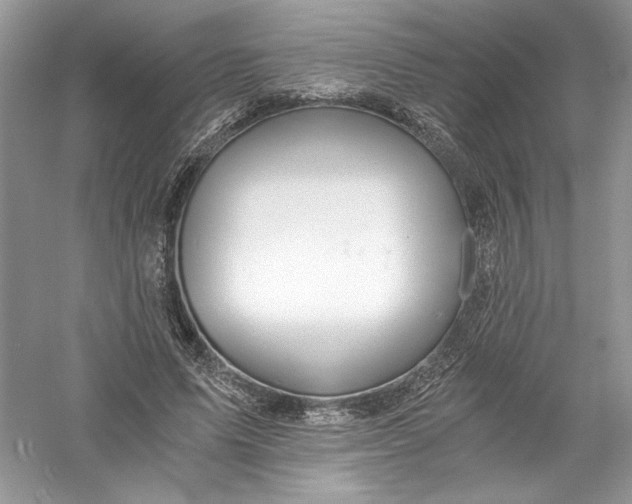 X0000056020591200509092141