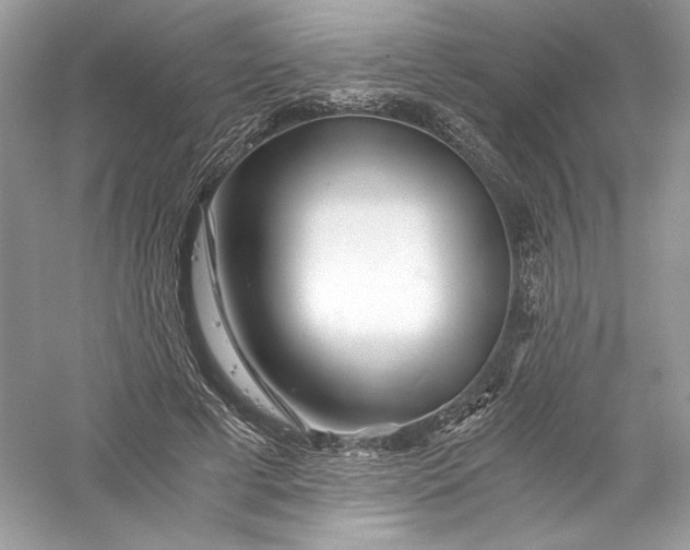 X0000056020593200509092141