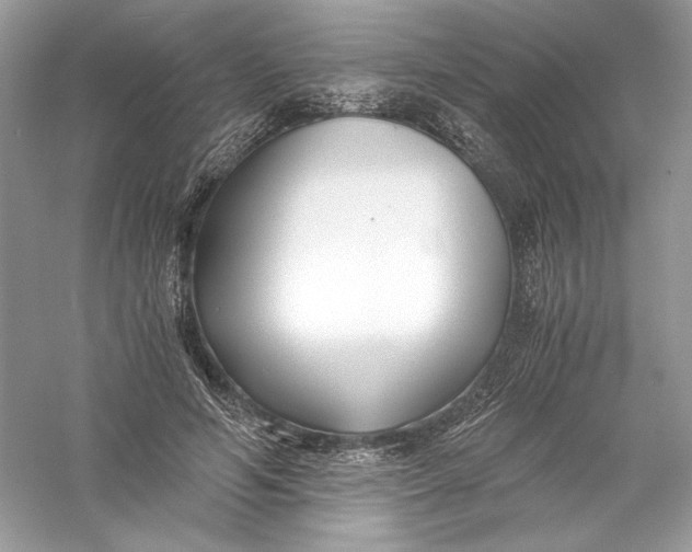 X0000056020594200509092141