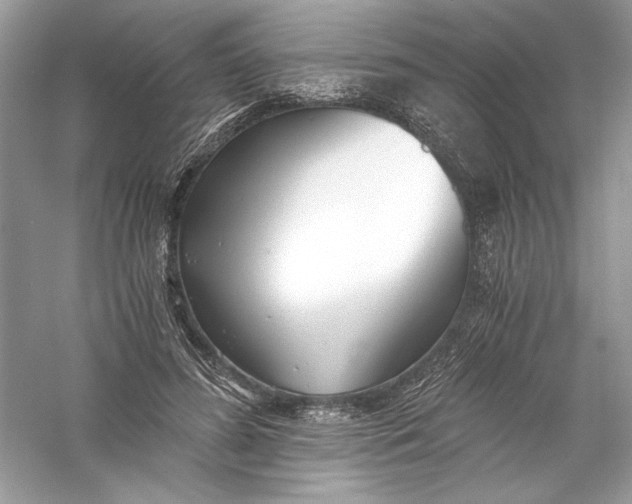 X0000056020596200509092141