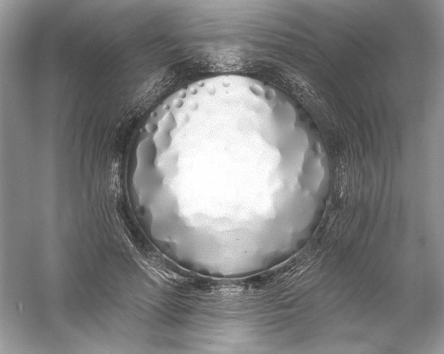 X0000056020598200509092141