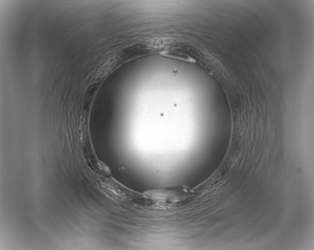 X0000056020601200509092141
