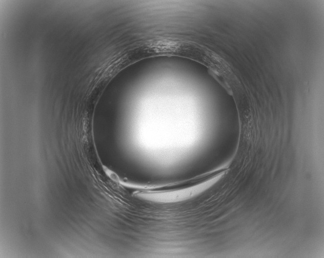 X0000056020604200509092141