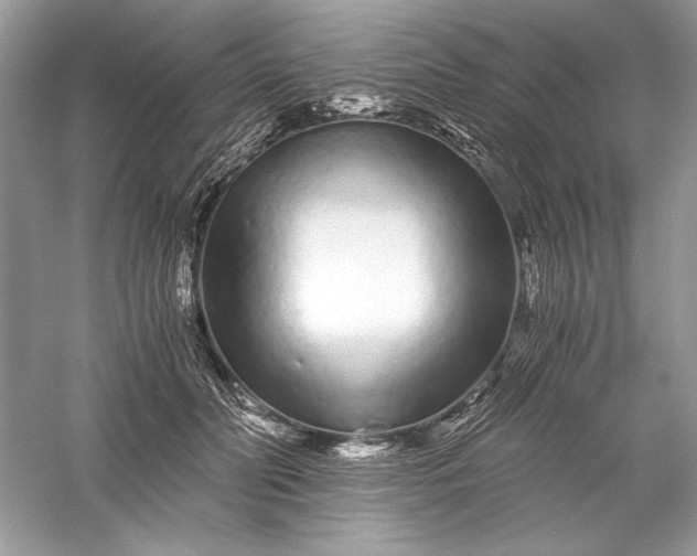 X0000056020606200509092141