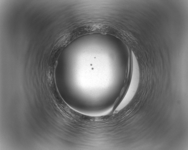 X0000056020607200509092141