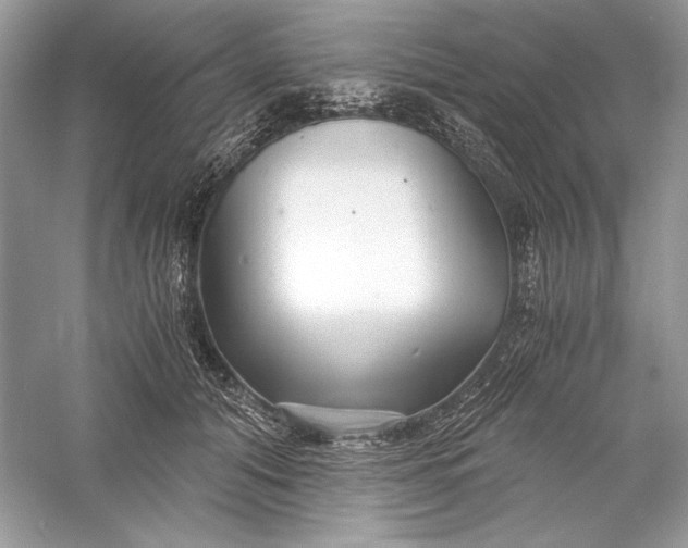 X0000056020608200509092141