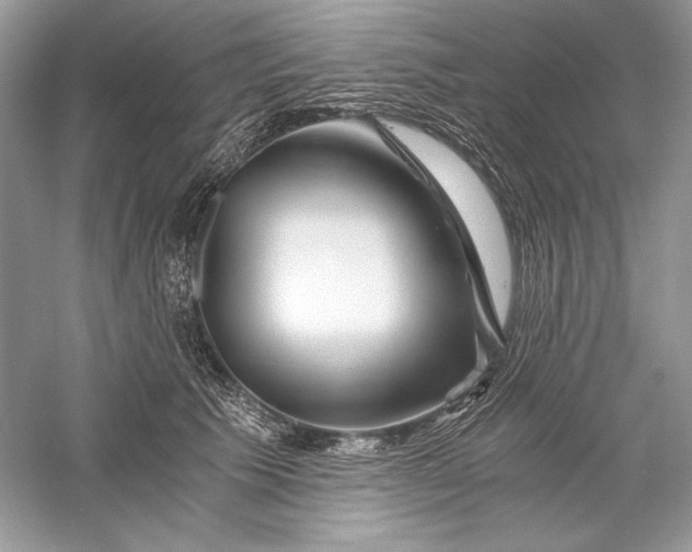 X0000056020609200509092141