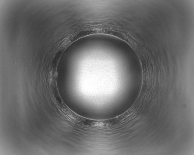 X0000056020611200509092141