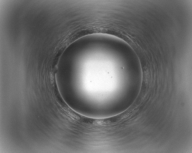 X0000056020613200509092141
