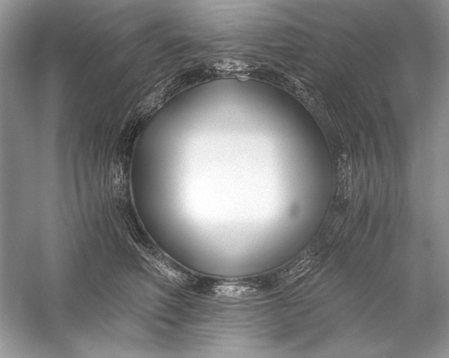 X0000056020614200509092141