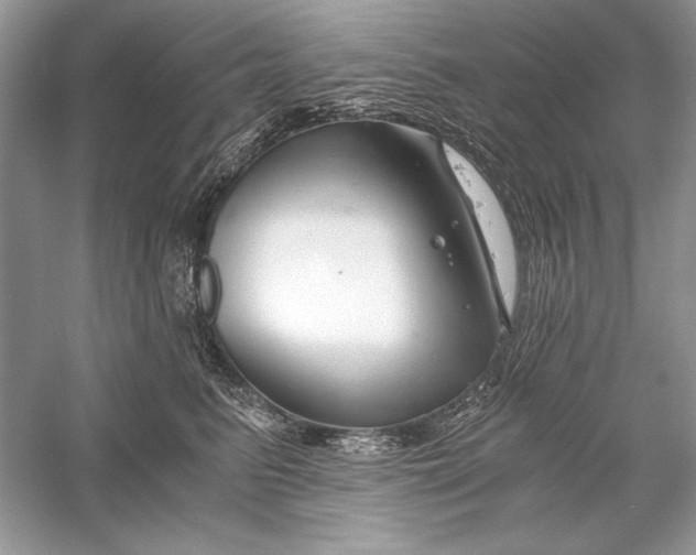 X0000056020615200509092141