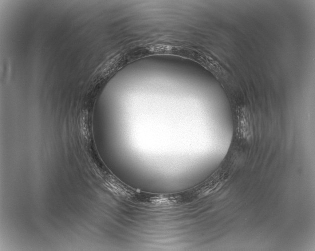 X0000056020616200509092141