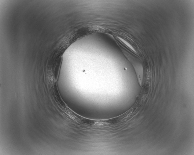 X0000056020617200509092141