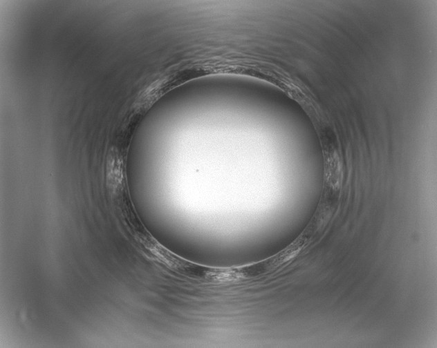 X0000056020621200509092140