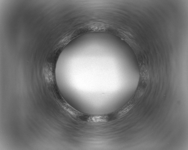 X0000056020622200509092140