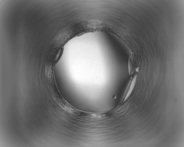 X0000056020623200509092140
