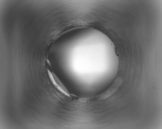 X0000056020624200509092140