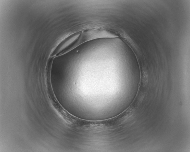 X0000056020626200509092140
