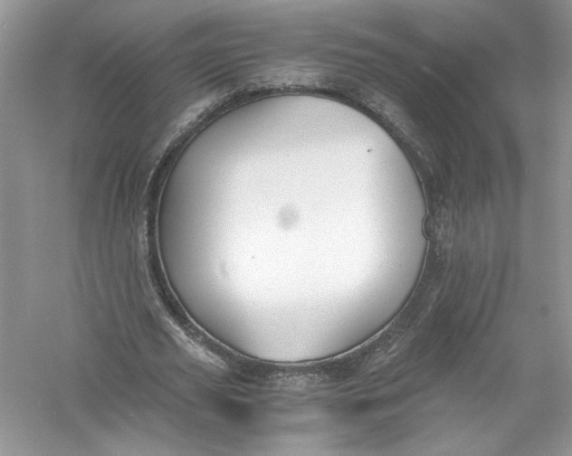 X0000056020629200509092140