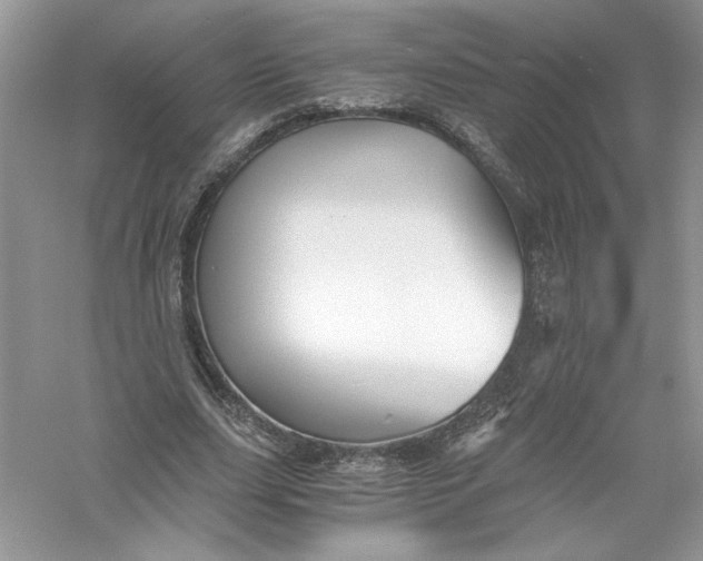 X0000056020631200509092140
