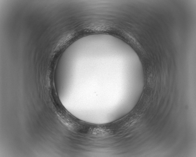 X0000056020635200509092140