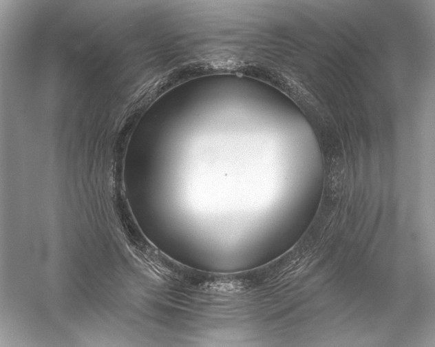 X0000056020639200509092140