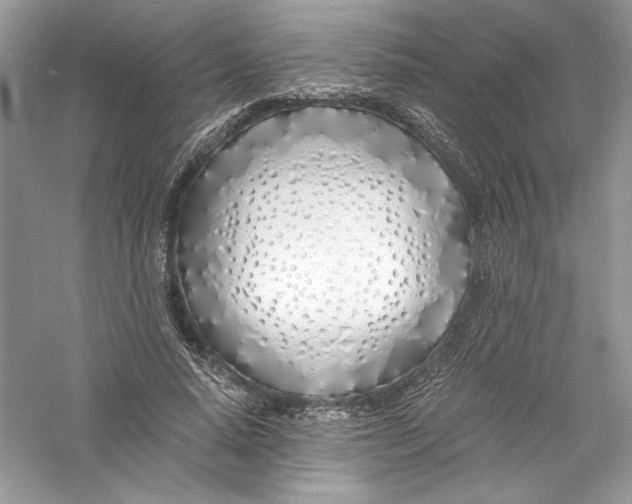 X0000056020640200509092140