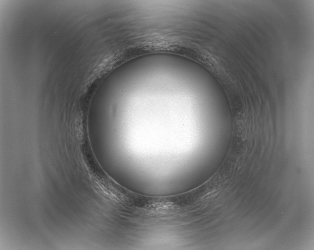 X0000056020642200509092140