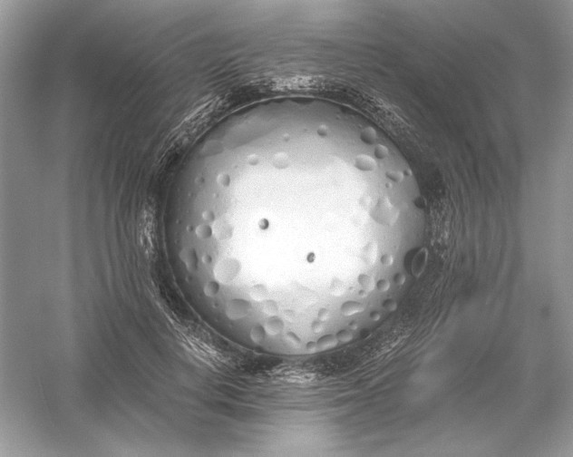 X0000056020648200509092140