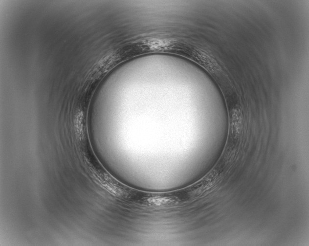 X0000056020650200509092140
