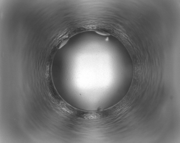 X0000056020652200509092140
