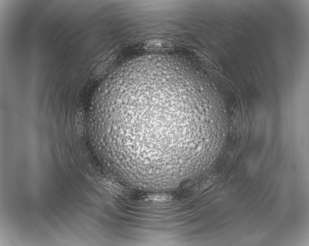 X0000056020659200509092140
