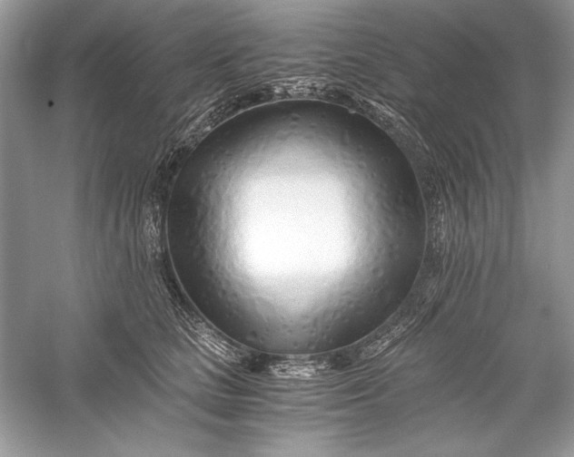 X0000056020661200509092140