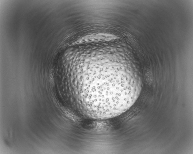X0000056020662200509092140
