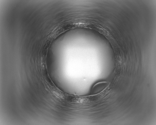 X0000056020663200509092140