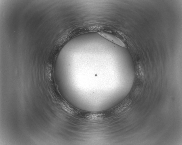 X0000056020664200509092140