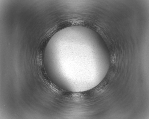 X0000056020666200509092140