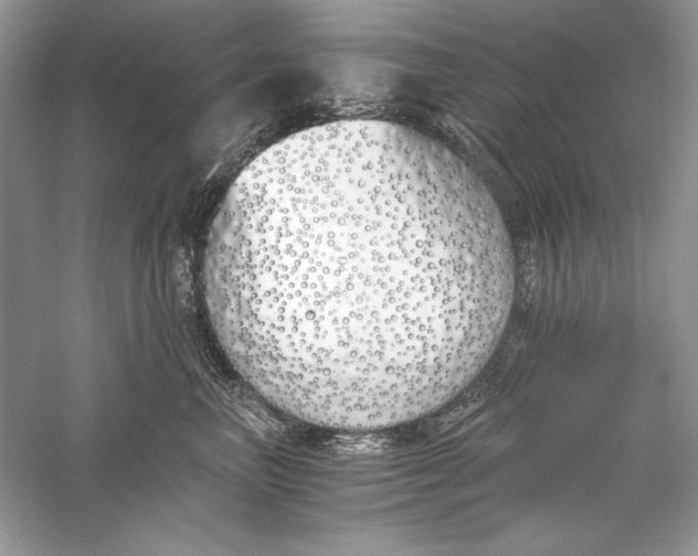 X0000056020667200509092140