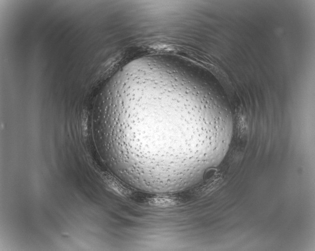 X0000056020668200509092140