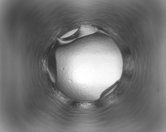 X0000056020669200509092140