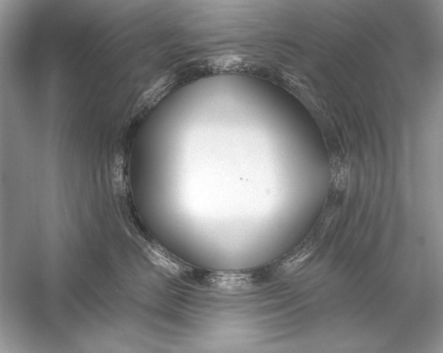 X0000056020670200509092140