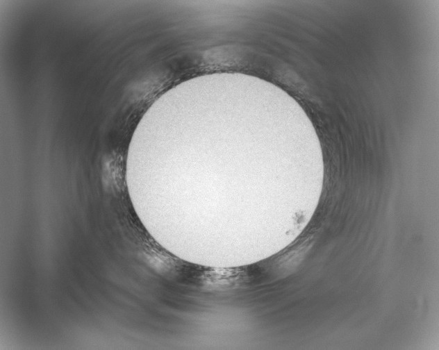 X0000056020672200509092140