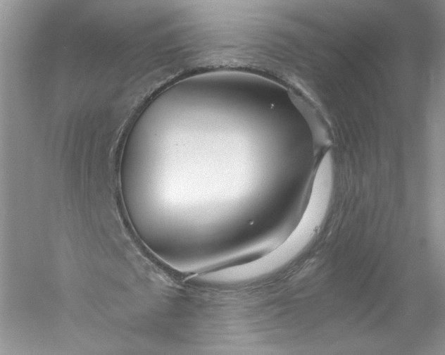 X0000056020673200509092140