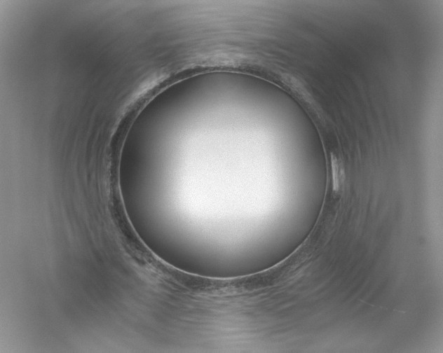 X0000056020675200509092140