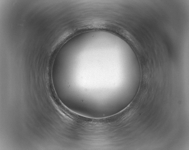 X0000056020677200509092139