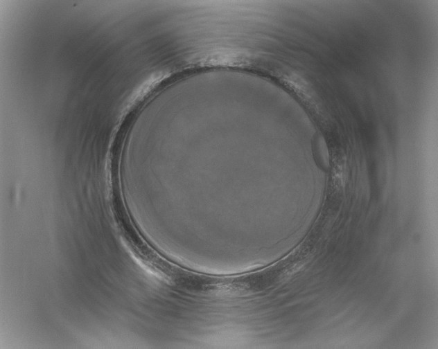 X0000056020678200509092139