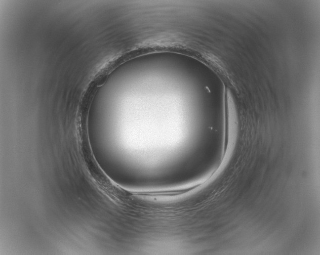 X0000056020680200509092139