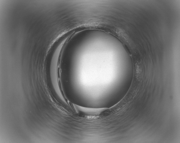 X0000056020684200509092139