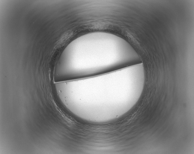 X0000056020685200509092139